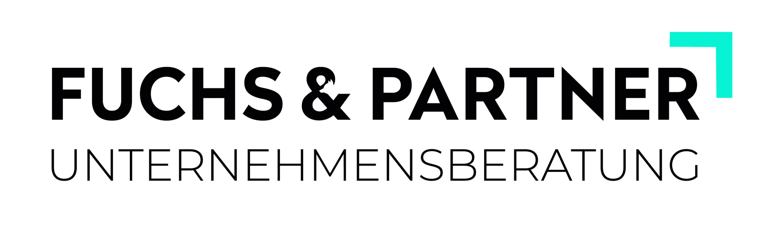 Logo_Fuchs&Partner